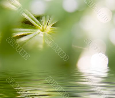 Abstract picture of a nature