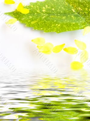Composition in water