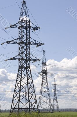 tree towers