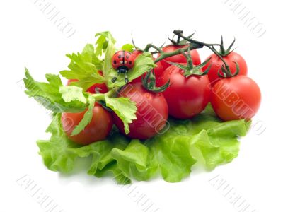 Still-life from vegetables and a ladybird