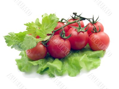 Still-life from vegetables