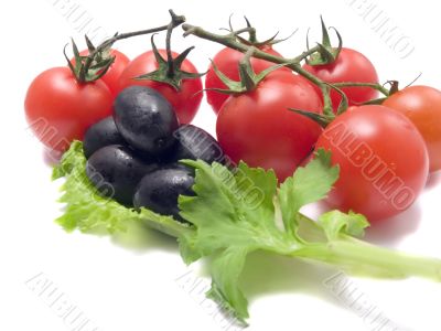 Vegetable still-life