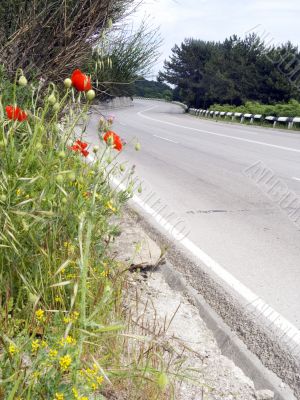 highway