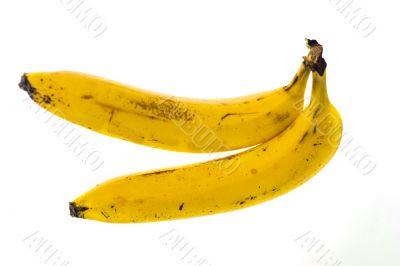 Couple bananas