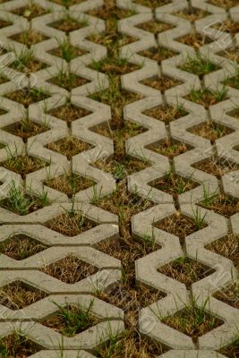 paving stone