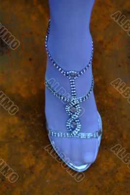 lady`s shoe