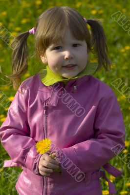 Girl with dandelion and tails