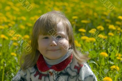 Smiling in dandelions