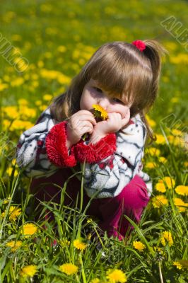 girl is smelling dandelion