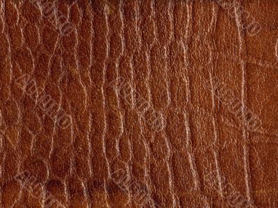 brown leather