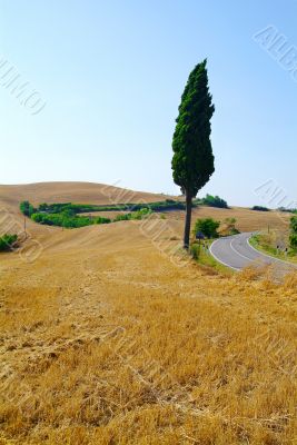 landscape
