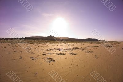 thursty at sandbeach