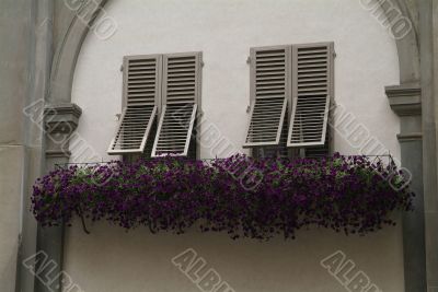 window