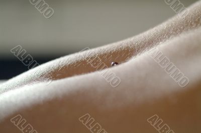 feamale part of body