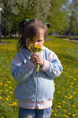 Girl with dandelions bouquet