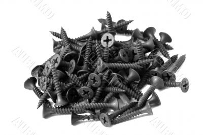 screws