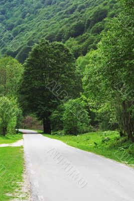 Mountain Road