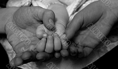 young child hand