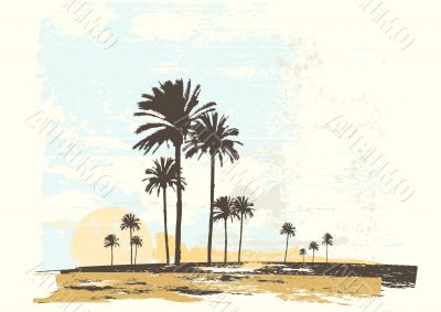  ocean coast
