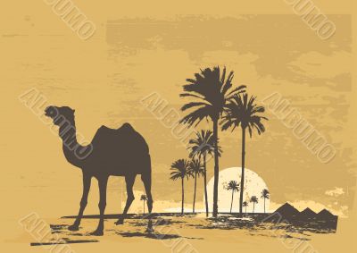 desert