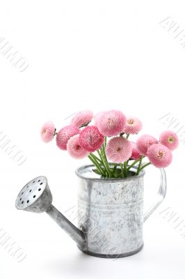 spring!