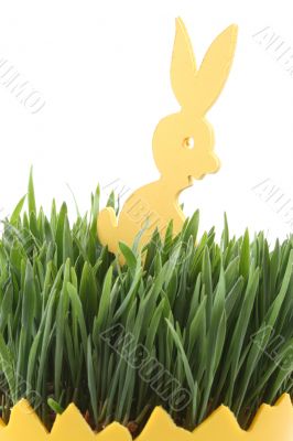 Easter