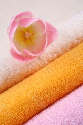 towels