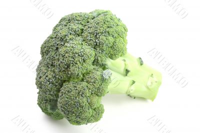 fresh broccoli