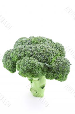 fresh broccoli