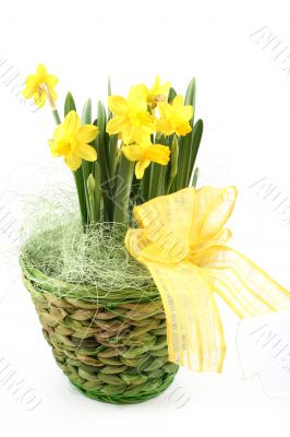 spring decoration
