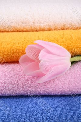 towels