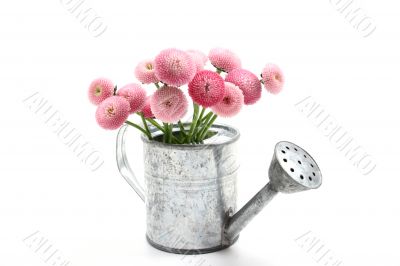 spring!