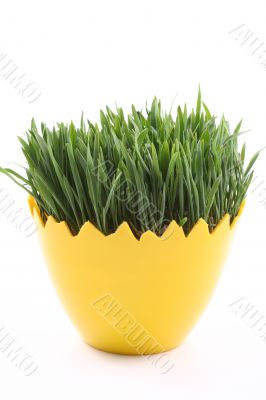 Easter