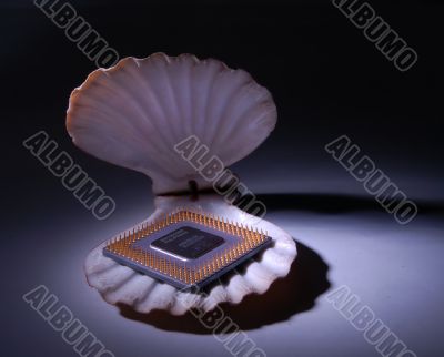 Shelled processor