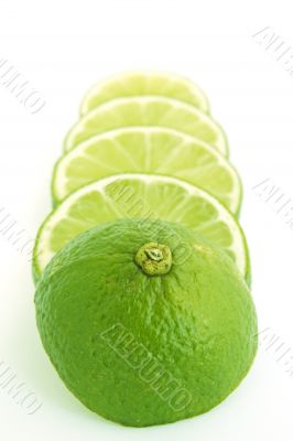 retreating lime