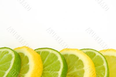 lemon and lime border