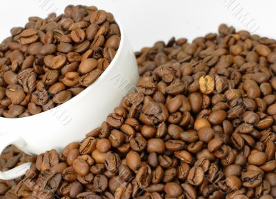 Coffee beans in a cup