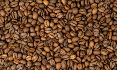 Coffee beans background