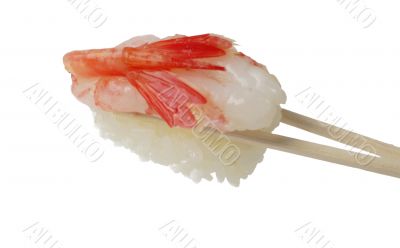Shrimp sushi in chopsticks