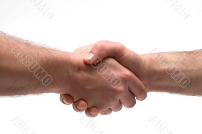 Handshake