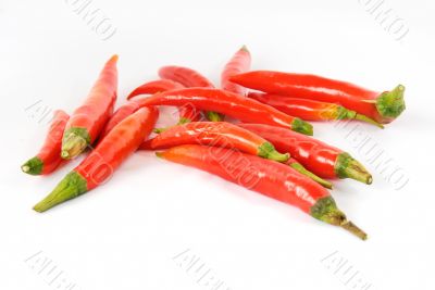 Red hot chili