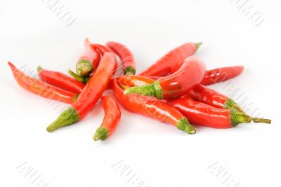 Red hot chili