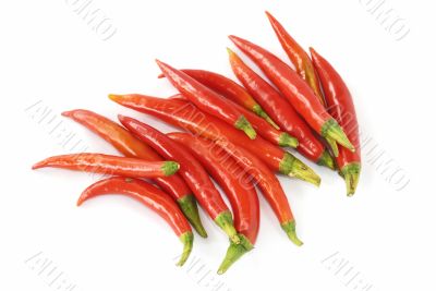 Red hot chili