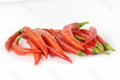 Red hot chili