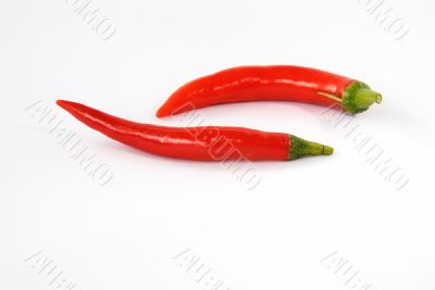 Red hot chili