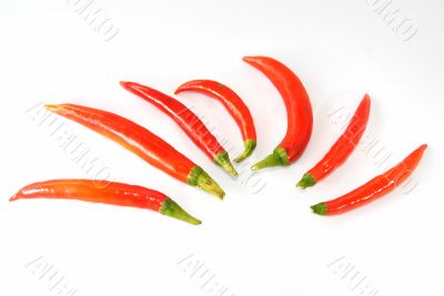 Red hot chili