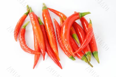 Red hot chili