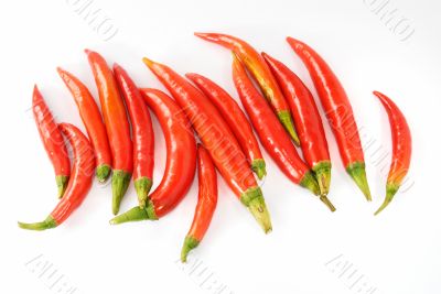 Red hot chili