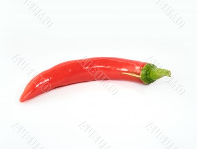 Red hot chili
