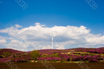 Wind Turbine
